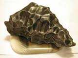SikhoteAlin_cs_301_0g_7934