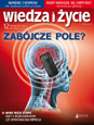 O meteorytach w "Wiedzy i yciu" opowiada prof. A.Manecki