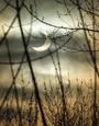 Solar eclipse Jan 04, 2011