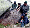 ChinaDaily.com.cn - Meteorite found in Xinjiang