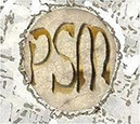 PSM (Polski Serwis Meteorytów)