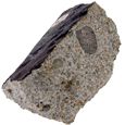 Barwell meteorite