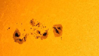 APOD - Sunspot Group AR 2339 Crosses the Sun 