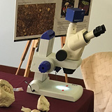 Meteoryty (STEM Fest 2016, Texas A&M University at Qatar)