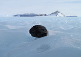A potential hidden layer of meteorites below the ice surface of Antarctica