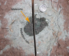 A new type of solar-system material recovered from Ordovician marine limestone
