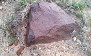 Monster Meteorite Found in Texas, Clarendon (c)
