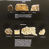 Muzeum Historii Naturalnej w Bernie  (Naturhistorisches Museum Bern); fot. Wadi, 2019