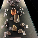 Muzeum Historii Naturalnej w Bernie  (Naturhistorisches Museum Bern); fot. Wadi, 2019