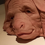 Toru; Wystawa Patricia Piccinini