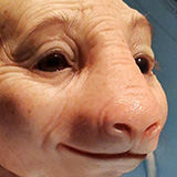 Toru; Wystawa Patricia Piccinini