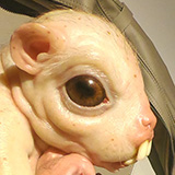 Toru; Wystawa Patricia Piccinini