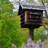 Zielona Gra, Skansen Ochla