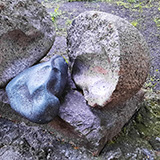 Zielona Gra, varia