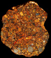 Domjan Svilkovi meteorite collection