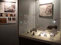 Wystawa meteorytw w Muzeum Techniki w Warszawie (Exhibition of meteorites in the Museum of Technology in Warsaw)