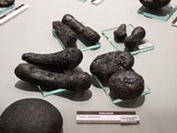 Wystawa meteorytów w Muzeum Techniki w Warszawie (Exhibition of meteorites in the Museum of Technology in Warsaw)
