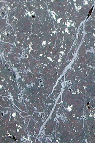 Meteorite Markovka H4