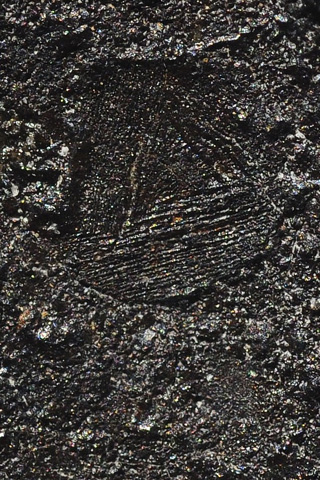 Tamdakht meteorite