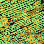 NWA (chondrule 7mm)