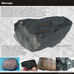 Skorupa