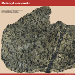 Meteoryt marsjański