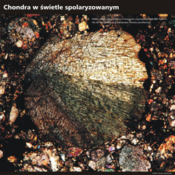 Chondra w wietle spolaryzowanym