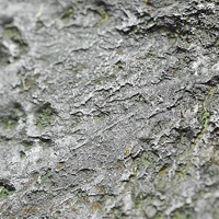 wiey okaz mezosyderytu owicz (fusion crust)