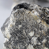 Spieniona skorupa na okazie meteorytu Ribbeck z kolekcji Pawa Zarby