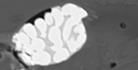 Odmieszanie (fusion crust)