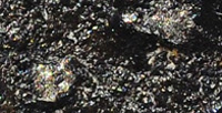 Niestopione ziarna oliwinów (meteoryt Tamdakht) (fusion crust)