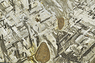 Troilite nodules in the Mont Dieu meteorite (IIE, Of).  Woreczko