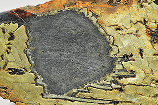 Graphite nodule surrounded by schreibersite and cohenite in the Nantan meteorite (IAB-MG, Om).  Woreczko
