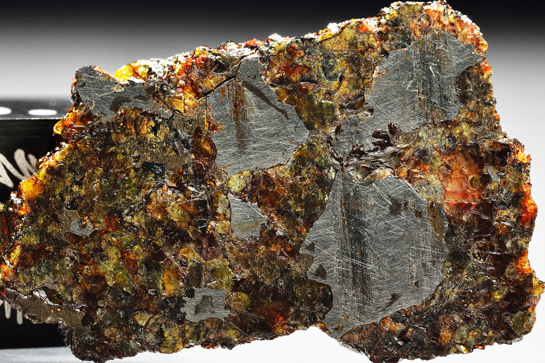 The silicate-rich anomalous meteorite Steinbach (IVA-an). © Woreczko