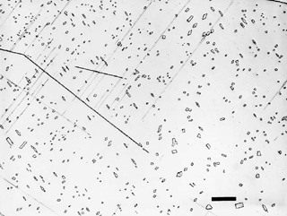 Rhabdite (vander Voort George F., Microstructure of Fe-Ni Meteorites)