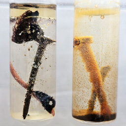 Cortec Electri-Corr VpCI-239 - test