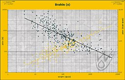 Trend cen meteorytu Brahin