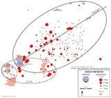 Meteorite Henbury, iron meteorite, crater, Australia - strewnfield (Svend Buhl et al. 2012)