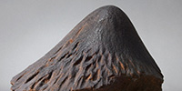 Adamana