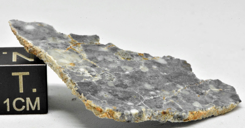 Bechar 006 (lunar, feldsp. breccia; lunaryt)