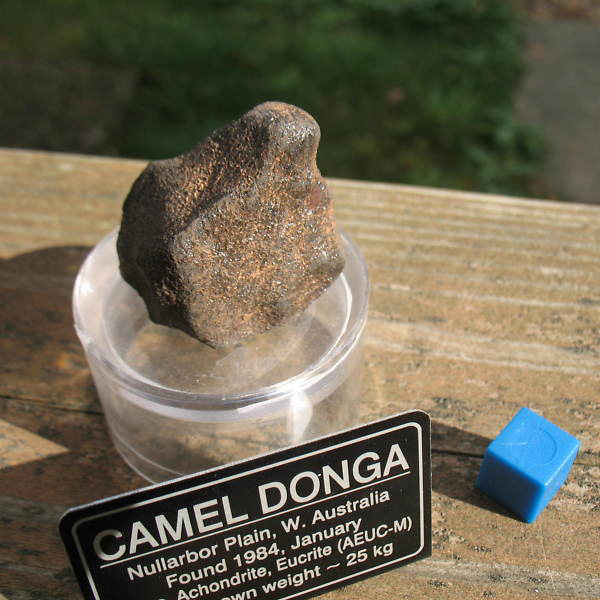 Camel Donga (EUC-mmict)