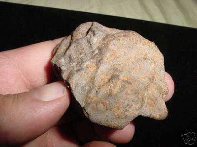 meteorite Gao-Guenie (H5)