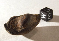 meteorite Gao-Guenie (H5)