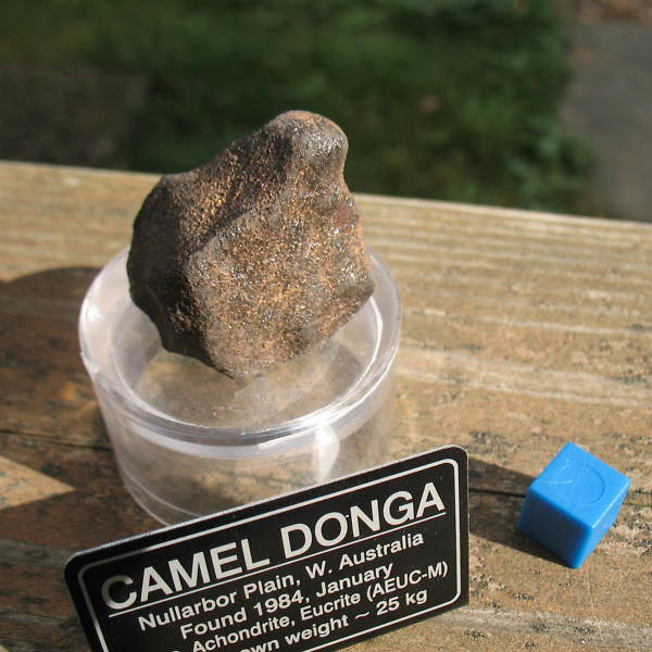 Camel Donga (EUC mmict)