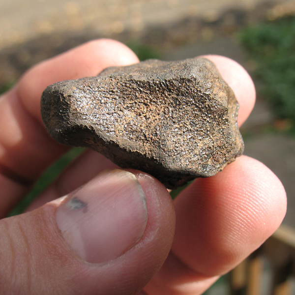 Camel Donga (EUC mmict)