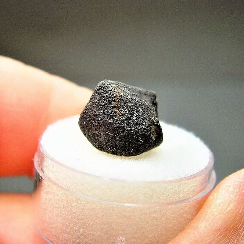 Buzzard Coulee (Saskatchewan meteorite) (H4)