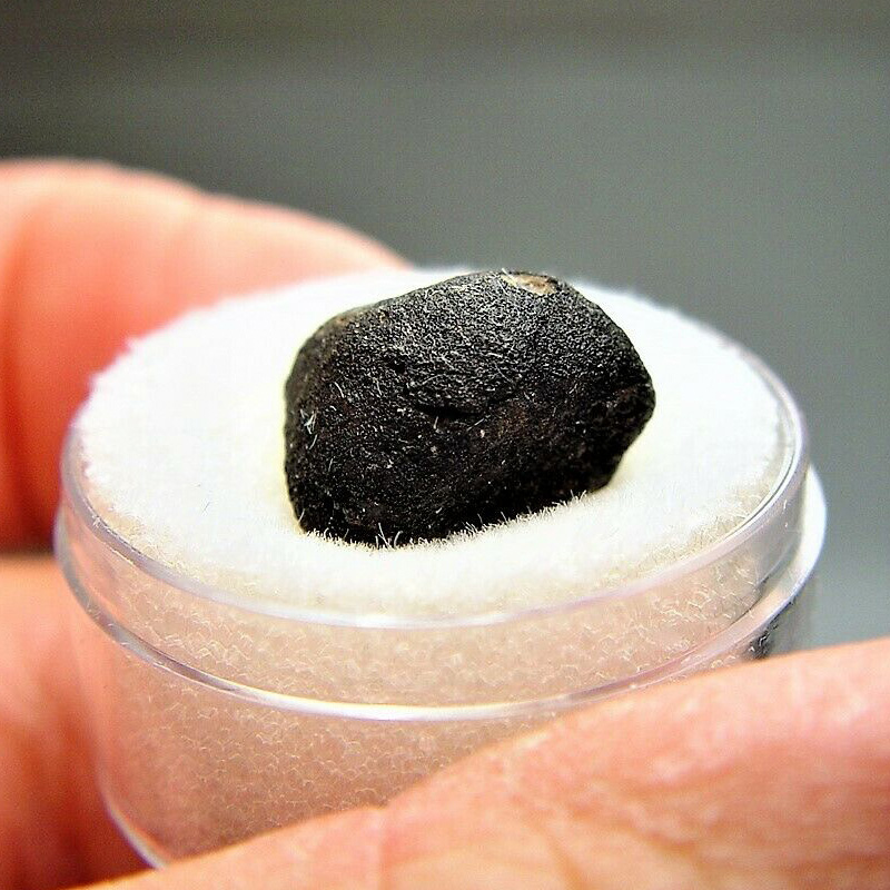 Buzzard Coulee (Saskatchewan meteorite) (H4)