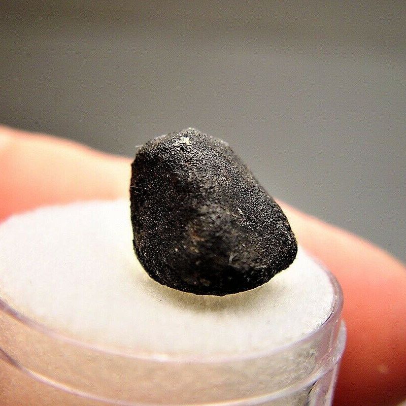 Buzzard Coulee (Saskatchewan meteorite) (H4)