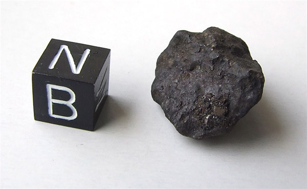 Buzzard Coulee* (Saskatchewan meteorite) (H4)