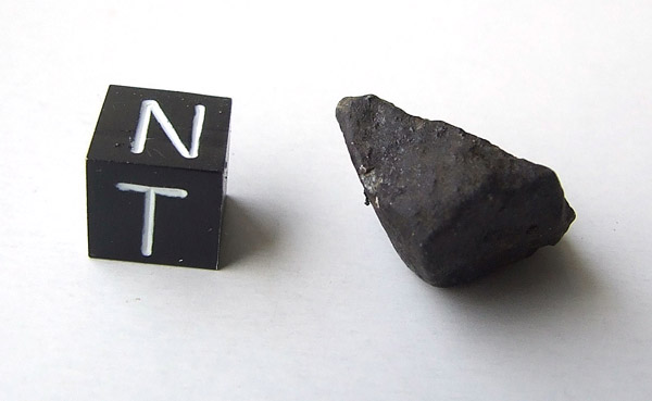 Buzzard Coulee* (Saskatchewan meteorite) (H4)